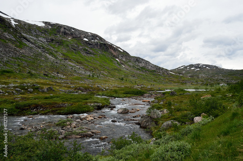 mountain stream through lush summer mountain landscape