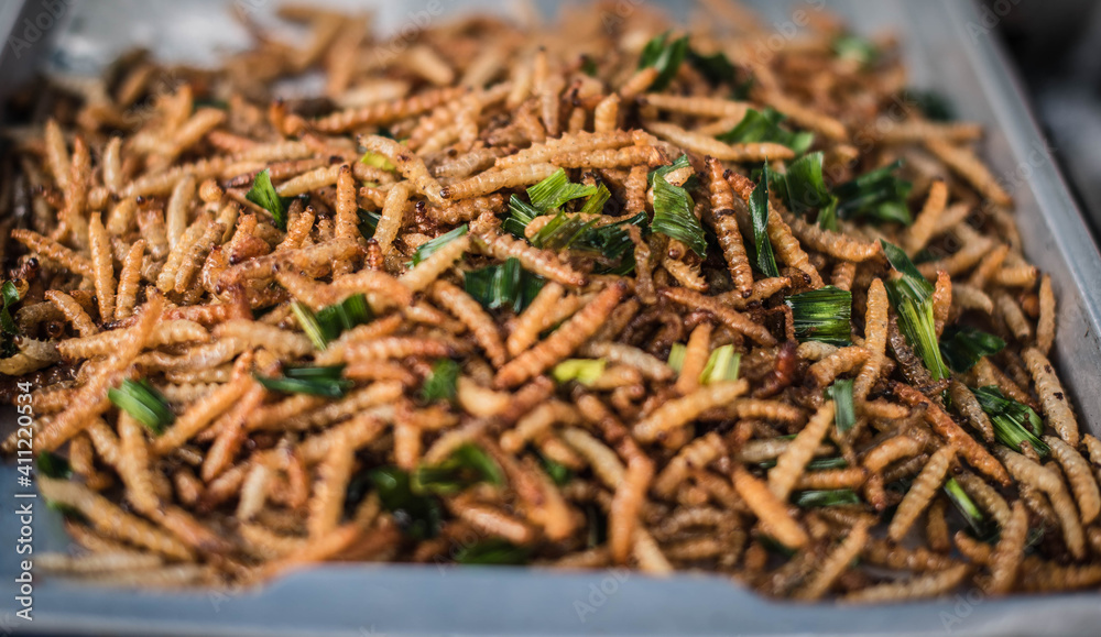 Deep fried bamboo worms for sale in a fresh market in Bangkok, Thailand.