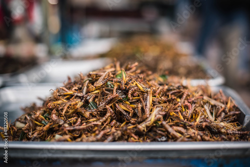 Patanga grasshoppers are sold in a fresh market in Bangkok, Thailand.