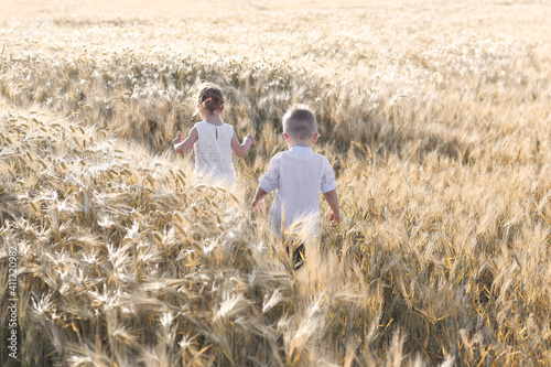 Children a boy and a girl harvest in a beautiful golden wheat field.