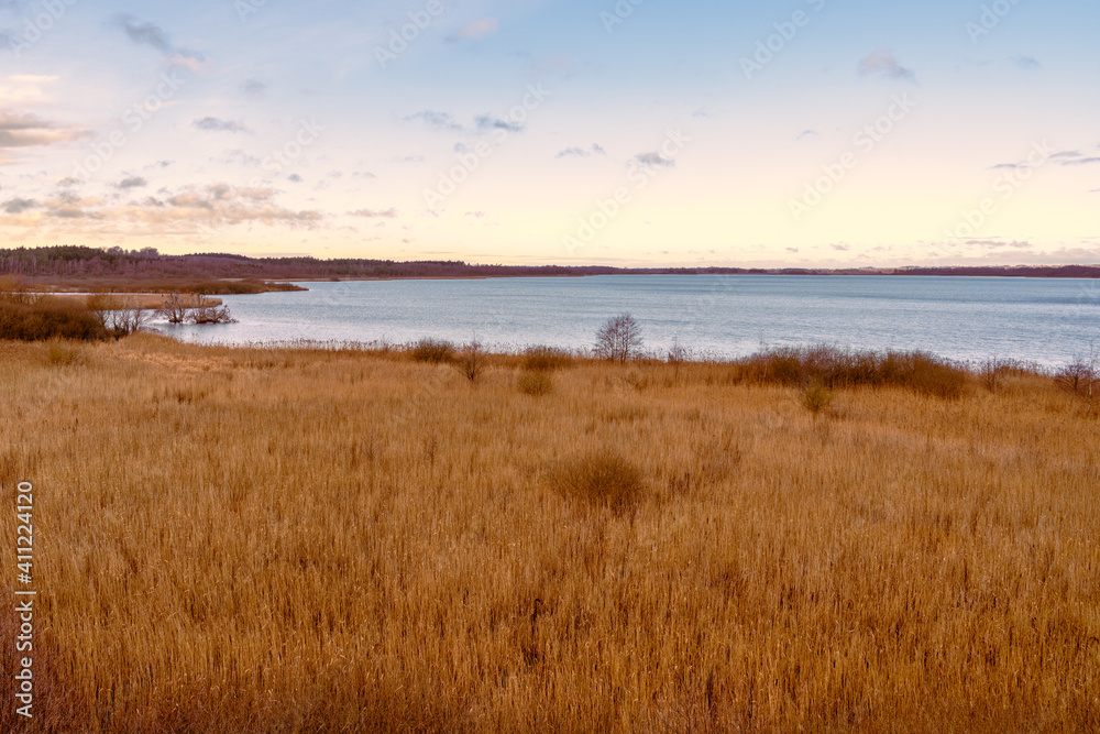 A view of a marsh filled with reeds. A lake in the background. Picture from Lund, southern Sweden A view of a marsh filled with reeds. A lake in the background. Picture from Lund, southern Sweden