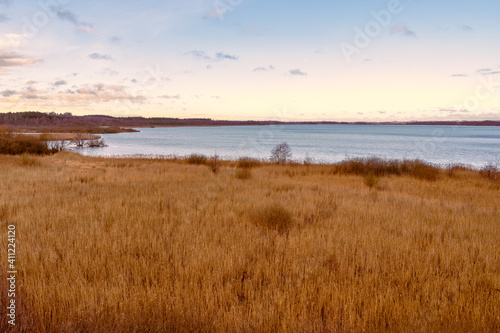 A view of a marsh filled with reeds. A lake in the background. Picture from Lund  southern Sweden