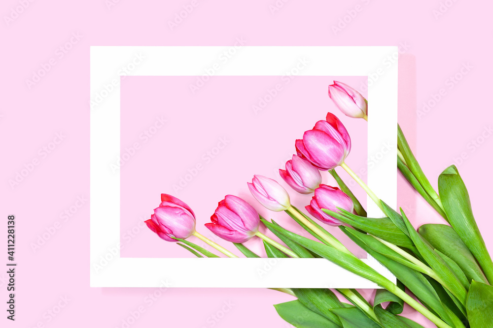 Obraz premium Beautiful Tulip flowers Arrangement in white horizontal springtime frame with blank space on pink pastel background. Tulpis for Mothers day, Valentines Day, Birthday Greeting card