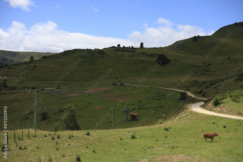 Obraz premium Station vide