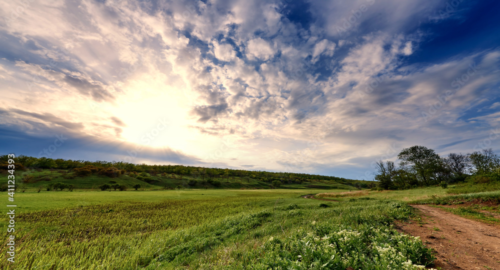 Green meadows and path under a blue sky with clouds in the sunlight.