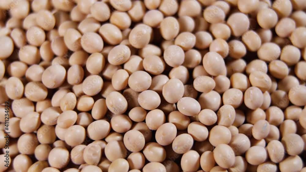 Raw soy bean, top view texture ,High in fiber, supplementary food, Protein healthy food, soybeans organic, seeds Raw soy bean, top view texture ,High in fiber, supplementary food, Protein healthy food, soybeans organic, seeds
