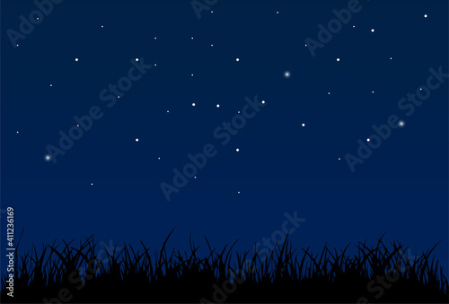 Night sky background with stars and grass silhouette