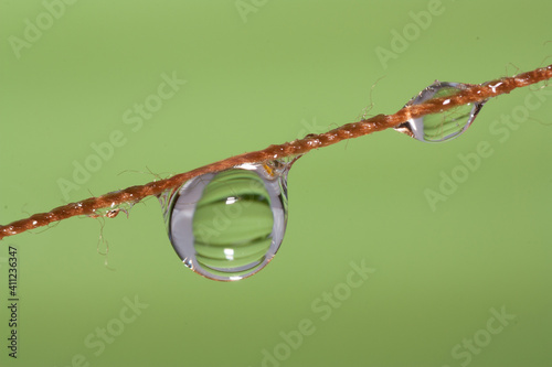 water drops on a glass photo