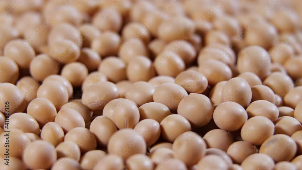 Raw soy bean, top view texture ,High in fiber, supplementary food, Protein healthy food, soybeans organic, seeds Raw soy bean, top view texture ,High in fiber, supplementary food, Protein healthy food, soybeans organic, seeds