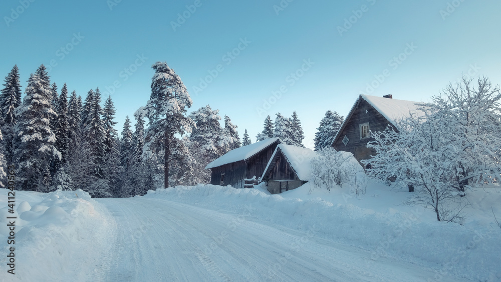 Dirt snow road in the countryside in winter near the forest Dirt snow road in the countryside in winter near the forest
