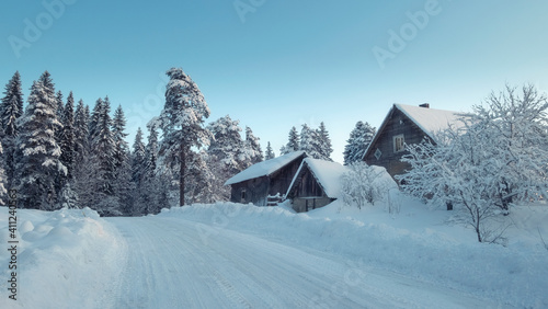 Dirt snow road in the countryside in winter near the forest © Lana Kray