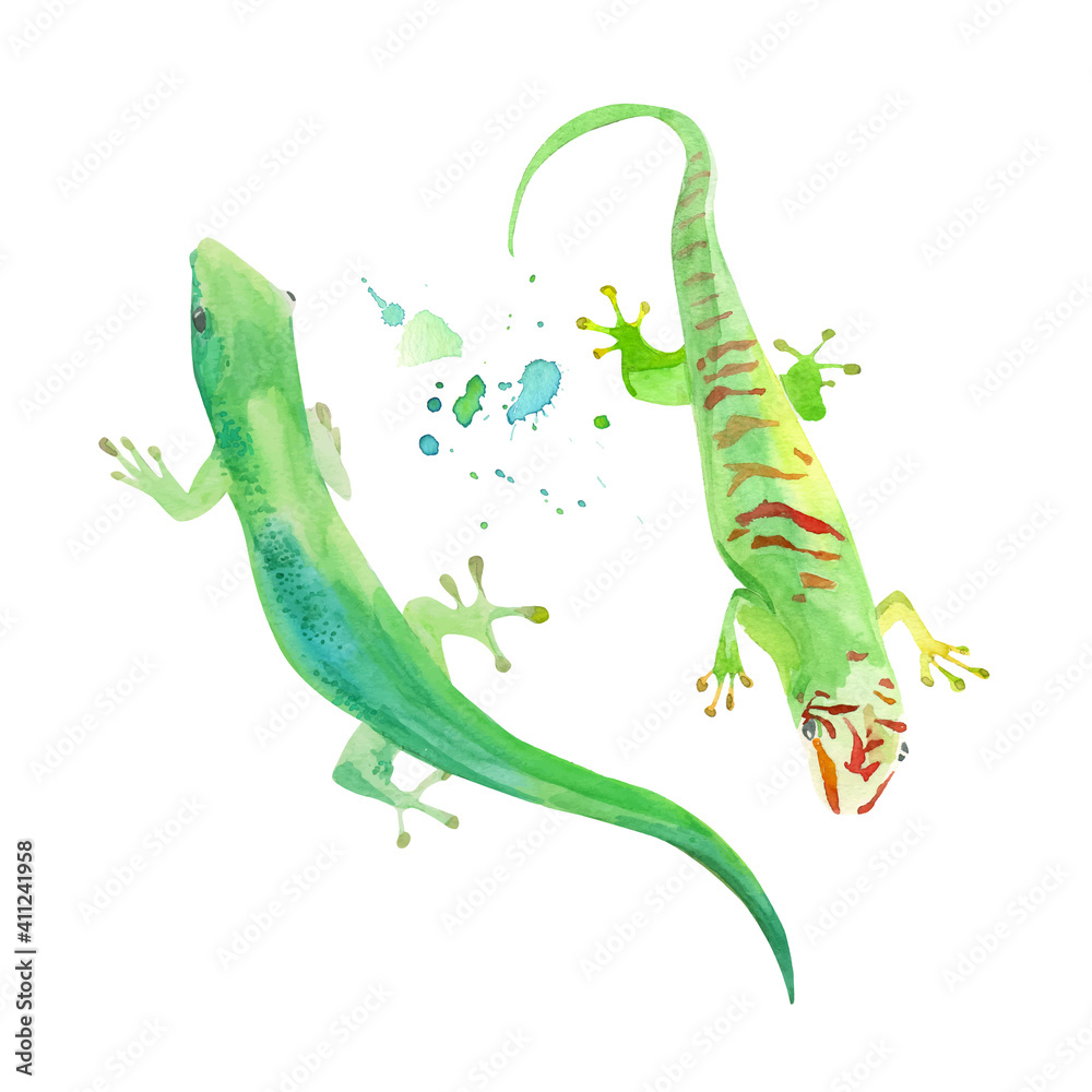 Fototapeta premium Gecko watercolor illustration, vector template. Green exotic lizard. Iguana, tropical leopard reptile icon.