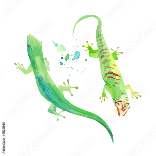 Gecko watercolor illustration, vector template. Green exotic lizard. Iguana, tropical leopard reptile icon.