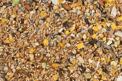 A mixture of cereals for feeding pets. Close-up, top view
