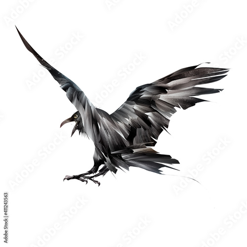 painted dark bird raven from behind in flight