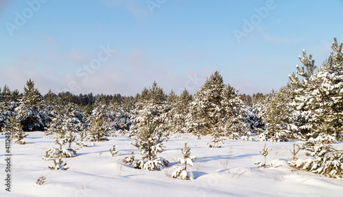 Winter landscape with wood on background sky with cloud