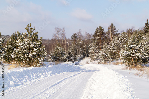 Winter landscape with wood on background sky with cloud © ovcerleonid