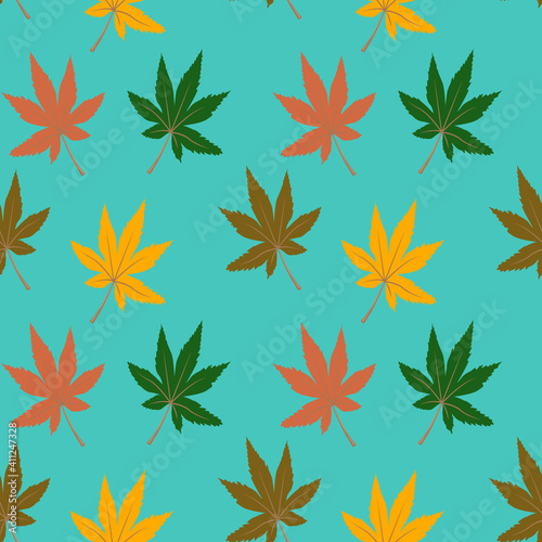 Coloured leaves on a turquoise background.
