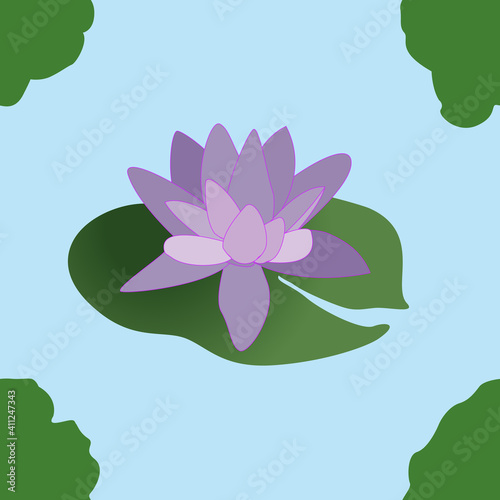 Purple lotus with green leaves on a sky-blue background.