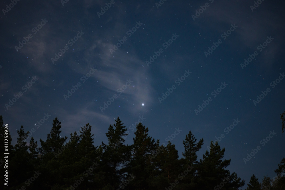 stars among the clouds illuminated by the moonlit sky in the night sky in the pine forest