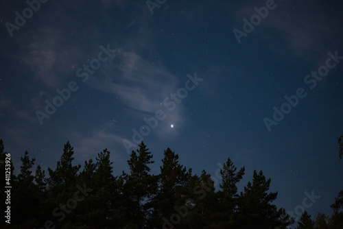 stars among the clouds illuminated by the moonlit sky in the night sky in the pine forest