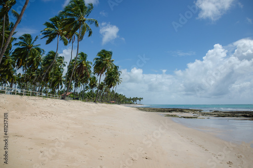 Fototapeta Naklejka Na Ścianę i Meble -  beach with palm trees - Praia dos Carneiros - Pernambuco - Litoral brasileiro