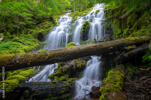 Proxy Falls Waterfall in Oregon