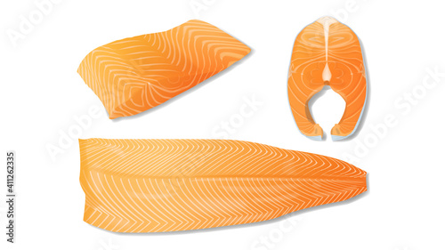 Set of realistic salmon fillet slices vector illustration isolated on white background
