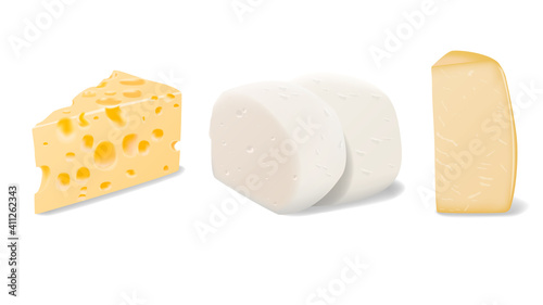 Vector set of pieces of different types of Parmesan, Mozzarella and Swiss cheese close up isolated on white background