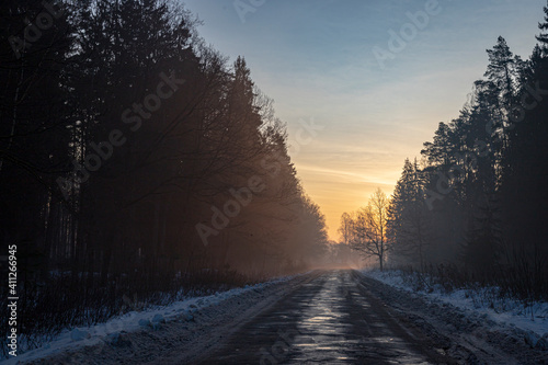 damaged asphalt country road through forest in beautiful misty sunrise