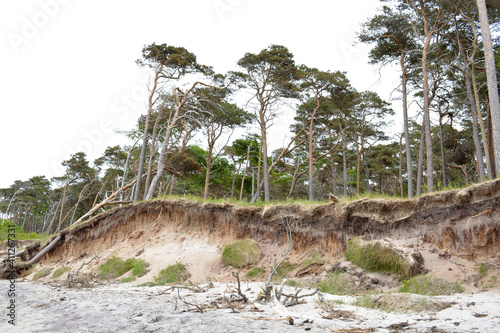 Abbruchkante am Strand Darßer Ort, Fischland-Darß-Zingst, Mecklenburg-Vorpommern