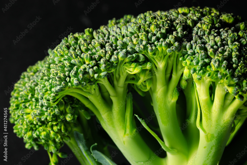 Broccoli - nutritious tree Broccoli - nutritious tree