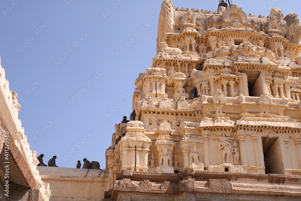 monkeys sitting on top of hindu temple ruins in Hampi, Indiagroup of 