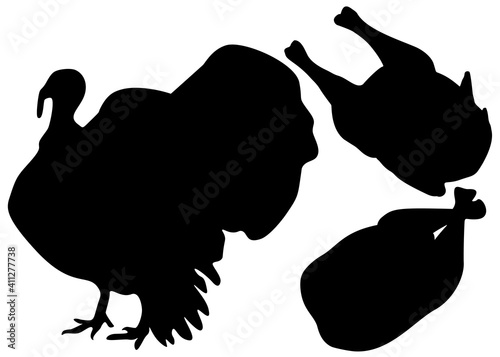 Turkey and turkey carcass set. Vector image.