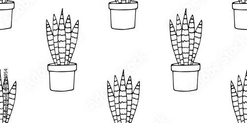 Seamless pattern with black contours of Potted Sansevieria plants isolated on white. Vector illustration. Home plant. Hand drawn simple element of interior. For greeting card, wrapping, book, textile 