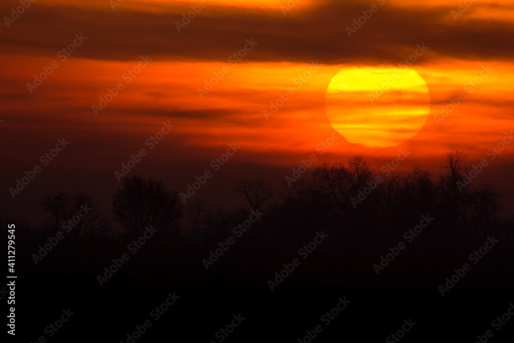 Sunrise in the fields near river Drava in Croatia, warm red black and yellow dramatic colors of sunset landscape with huge sun, photo taken in peaceful early morning