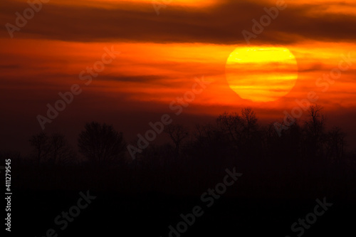 Fototapeta Naklejka Na Ścianę i Meble -  Sunrise in the fields near river Drava in Croatia, warm red black and yellow dramatic colors of sunset landscape with huge sun, photo taken in peaceful early morning