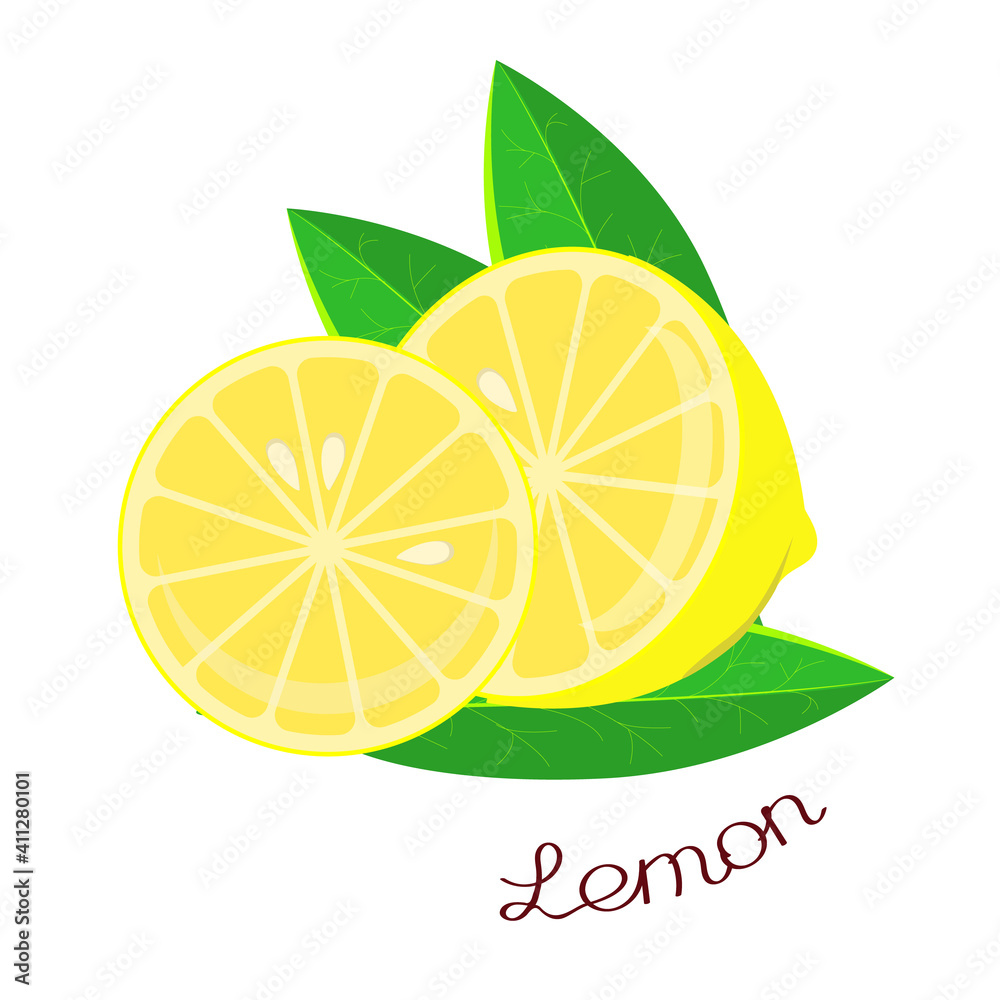 Half a lemon and a cut piece with leaves and an inscription with the name of the plant. Vector illustration isolated on a white background. Hand drawing Half a lemon and a cut piece with leaves and an inscription with the name of the plant. Vector illustration isolated on a white background. Hand drawing