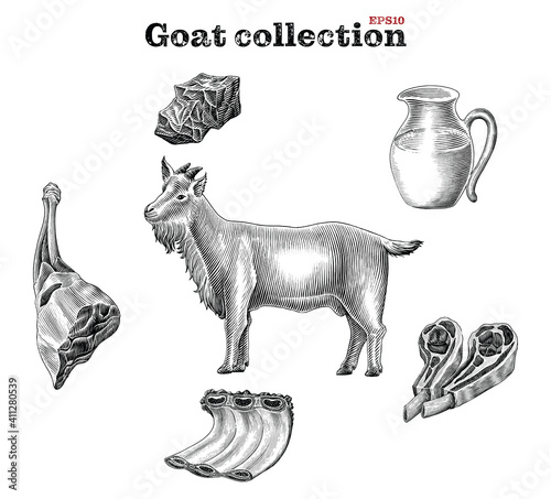 Goat collection hand draw vintage engraving style clip art isolated on white background