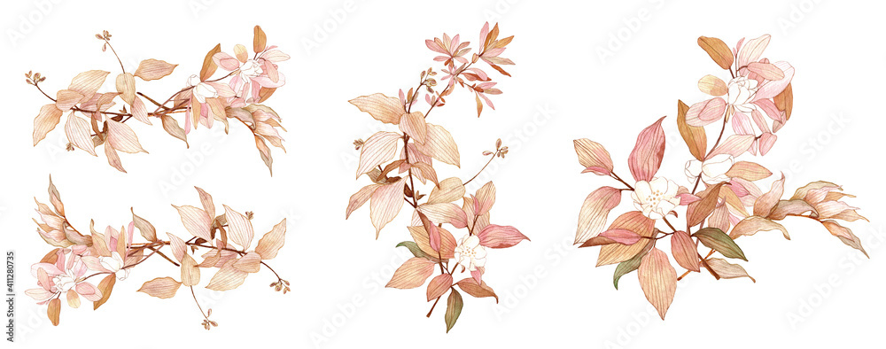 Watercolor blush floral illustrations set