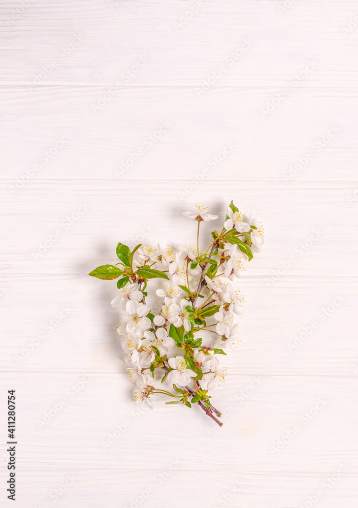 Blooming cherry branch on a white background. Flat lay, postcard blank, space for text, copy space. Top view, vertical orientation Blooming cherry branch on a white background. Flat lay, postcard blank, space for text, copy space. Top view, vertical orientation