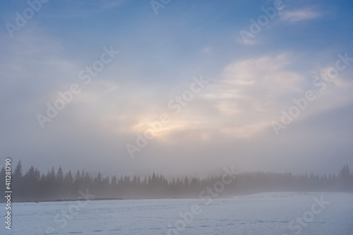 Winter landscape with foggy forest