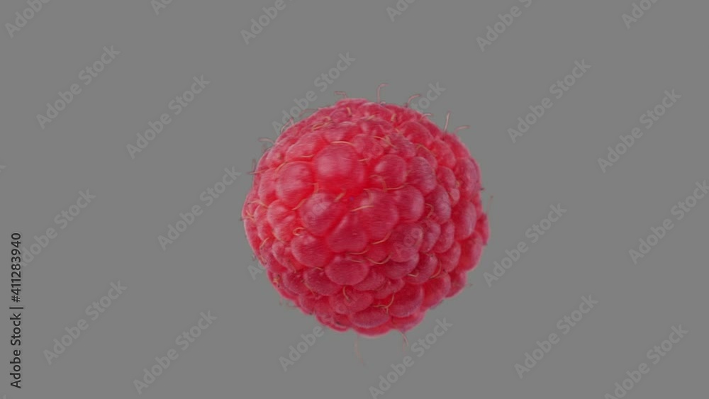 Fresh raspberries spin and float - isolated on black, neutral gray or white. Sweet juicy raspberry rotate in seamless loop for unlimited duration. Alpha channel included.