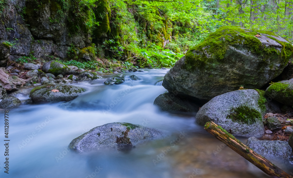 Obraz premium mountain river rushing through canyon