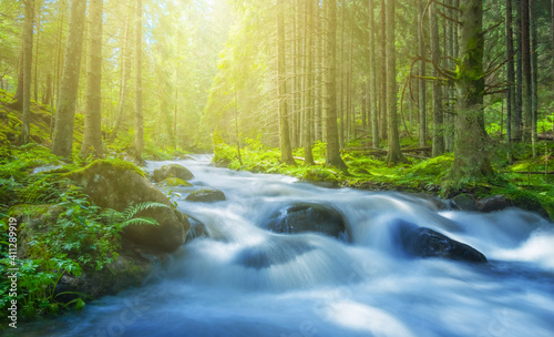 river rushing through mountain forest, sunny natural background