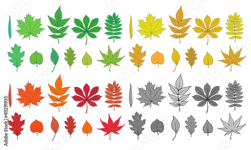 Illustration of tree leaves. Chestnut, maple, ash, birch, oak, willow, rowan, poplar... Colorful leaves, vector illustration.