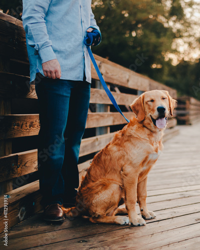 Schilderij op canvas Vertical shot of a person walking cute brown Labrador retriever