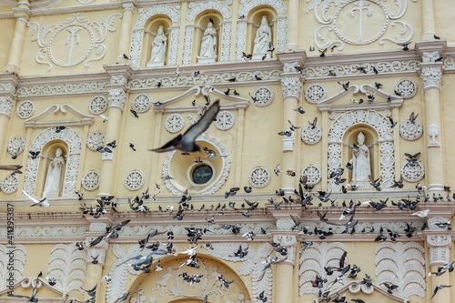Flock of flying birds on the background of a facade of a historical building