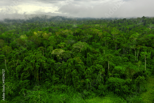 Ecuadorian amazon rainforest - Amazonia photo