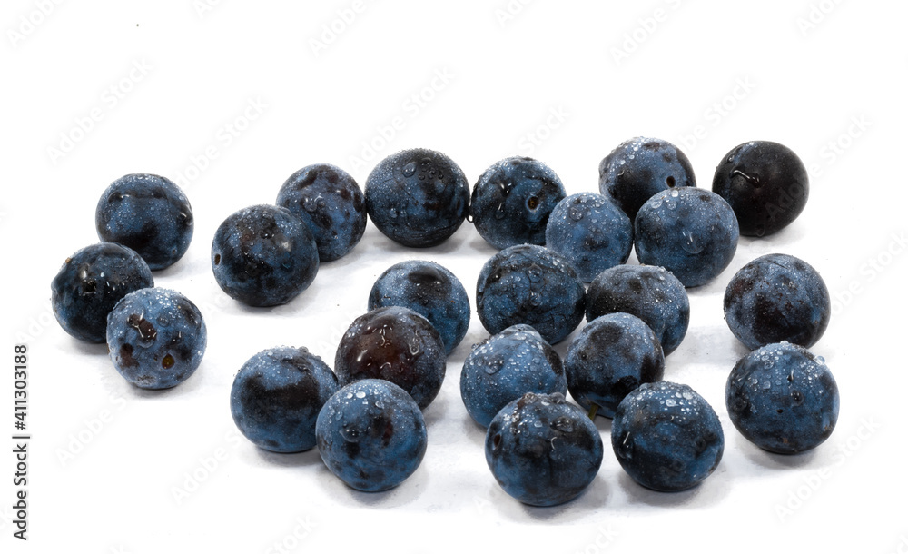 Heap of fresh blackthorn berries isolated on white background Heap of fresh blackthorn berries isolated on white background